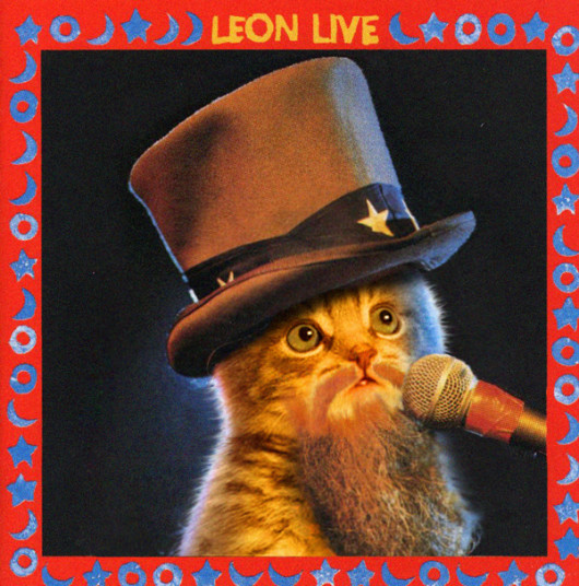 Famous Album Covers Recreated By Kittens The Strut